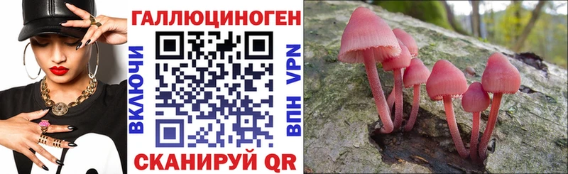 Галлюциногенные грибы GOLDEN TEACHER  Ивангород 